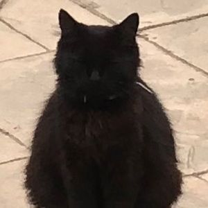 Meet your Posher, Alice